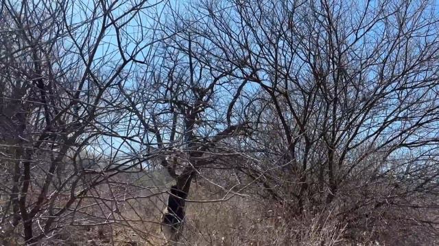 Hadzabe Tribe Made It Again With A Lot Of Monkeys| Hunters Documentary