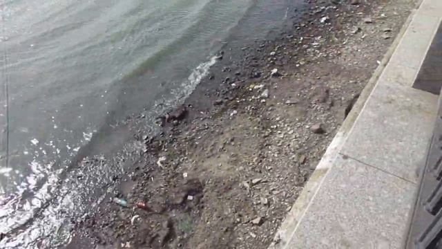 Ростов. Дон обмелел. Сгон воды в Азовское море. Сильнейший восточный ветер. смотреть онлайн