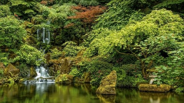 Keith Kenniff. Sparrow Song