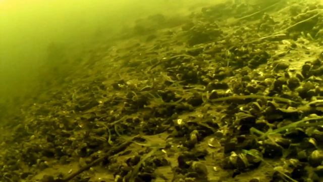 Этот неизвестный подводный мир смотреть онлайн