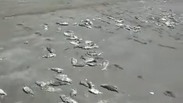 SDC10001 смотреть онлайн