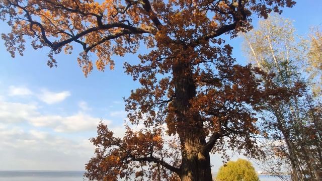 ...дни осенние смотреть онлайн