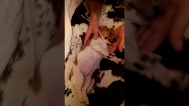 Девочка устала)))) смотреть онлайн