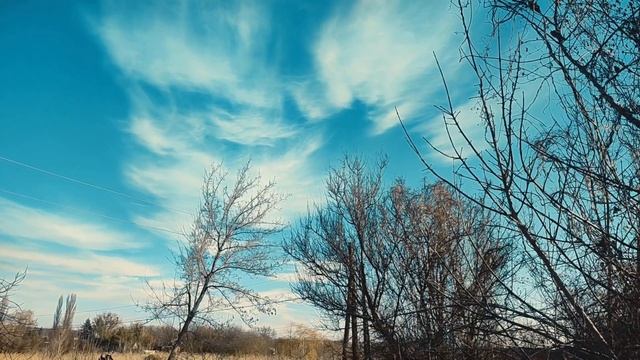 Славянск 19 декабря 2022 День святителя Николая смотреть онлайн