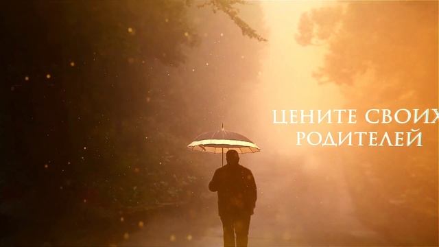 Отношение к родителям __ Семья в Исламе смотреть онлайн