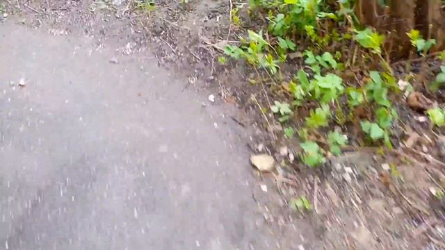 Тем, кто собрался в Питер на день победы... смотреть онлайн