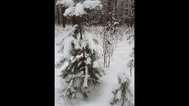 Зима в Кратово смотреть онлайн