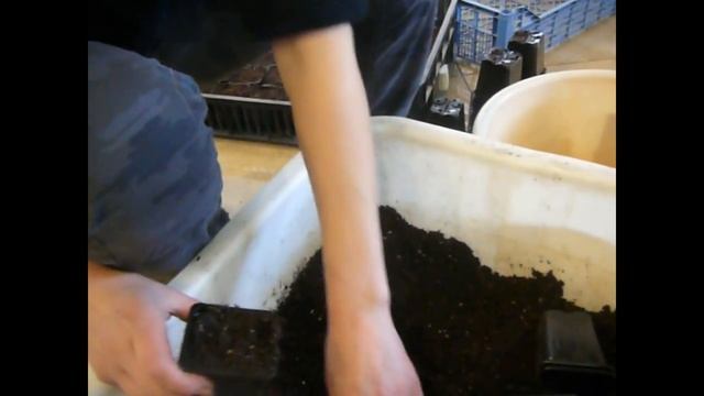 Размножение малины корнями смотреть онлайн