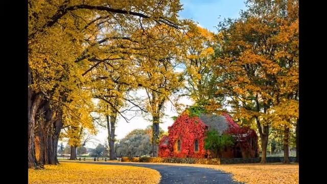 Красавица Осень, уходя возвращайся вновь! смотреть онлайн