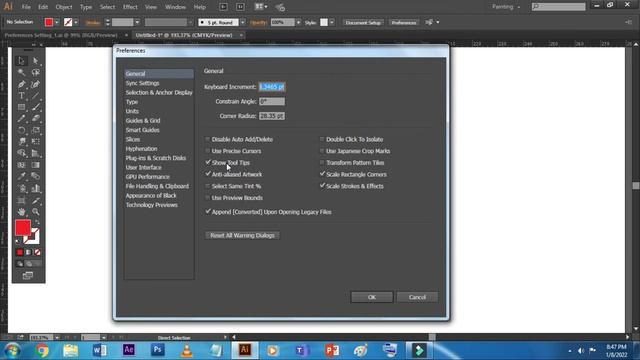 How To Use Preference Setting In Illustrator | Preference Setting In Adobe Illustrator | Illustrato