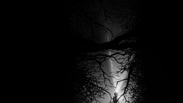 Silt - This Is Literally My Worst Nightmare смотреть онлайн