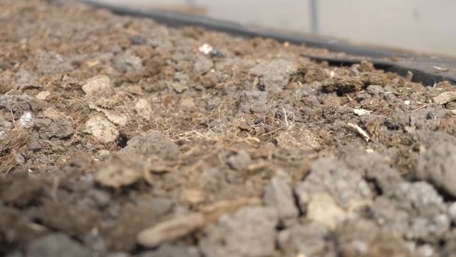 Как правильно обработать теплицу. Готовимся к сезону смотреть онлайн