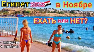 Египет в НОЯБРЕ 2023 Стоит ли ЛЕТЕТЬ на ОТДЫХ? Все ПЛЮСЫ и МИНУСЫ. Цены на туры