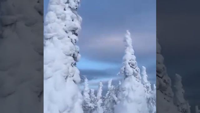 Риана Омск 2019год(1)