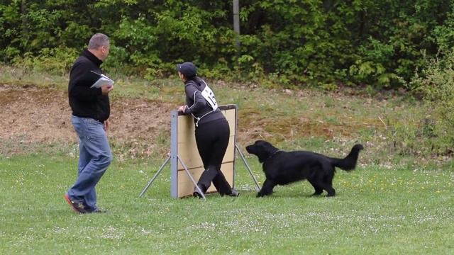 BVK Duchonka, Slovakia, April 23 / 2016, part 2 смотреть онлайн