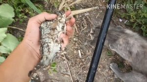 Рыбалка на карася!! На реке Левый Бейсужëк!! Поплавок