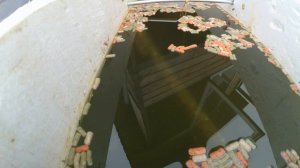 Кормушка для пруда своими руками / простая конструкция 2019 год.