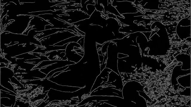 Canny Edge Detection test using OpenCV смотреть онлайн