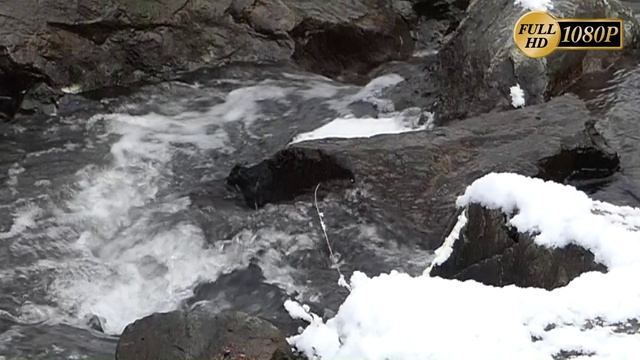 Bayreuth Mistel (Roter Main)... ( Frederic Francois Chopin ) Нежность