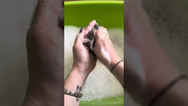🧼Мыльный Марафон🧼 « Измени меня» туалетная и хозяйственная прилипушка🫧🫧🫧 смотреть онлайн