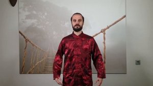 Данил Сусак «Вибрационная гимнастика для очистки лимфы и сосудов»