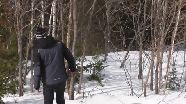 Едем за вербой смотреть онлайн