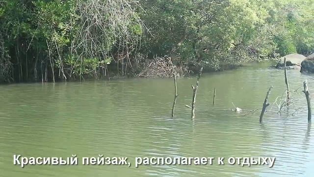 Палолем Бич| Лучший пляж Гоа| Многолетний личный опыт| Вечерний сюрприз для души| Видео 2 смотреть онлайн