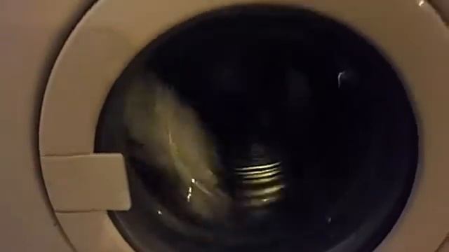 Экономия воды и электричества смотреть онлайн