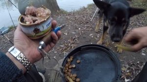 Рыбалка. Ловля Хищника на Живца (Донки, Резинки). Двое Суток на реке с Больничкой.