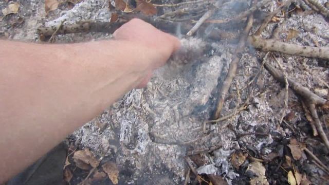 Как вкусней съесть кедровую шишку? смотреть онлайн