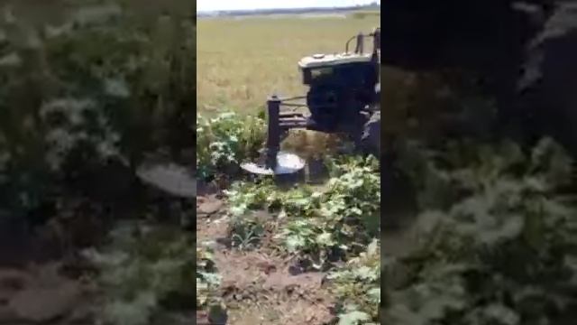 Motocoasa pentru motobloc смотреть онлайн