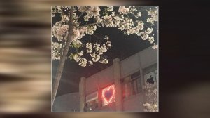 фрози (Frozy) - luv