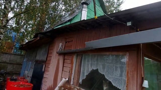 Избавление от тараканов и мышей в доме