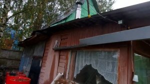 Как избавиться от пчёл от ос от шершней шмелей  Чудо средство