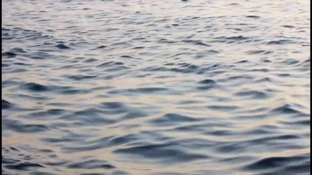 #Вірші Юлія Юенн «Я часто згадую про море», читає Євгенія Нечипоренко смотреть онлайн
