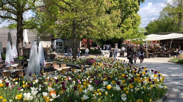 Mainau Island Tour 2022, Konstanz, Germany смотреть онлайн