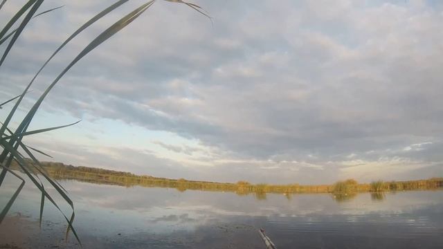 Охота на утку осенью 2019. Богатая на уток вечерка. Много налетов, в том числе налет вертолета!!!!! смотреть онлайн