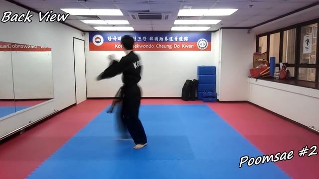 Taekwondo - Poomsae 2 (Yi Jang) Slow-motion, front and back view смотреть онлайн