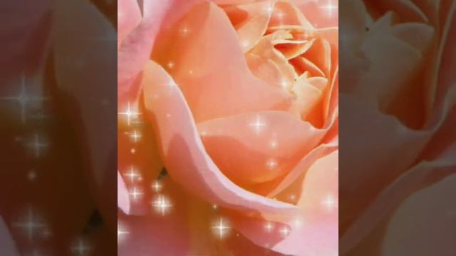 Summer bloom смотреть онлайн