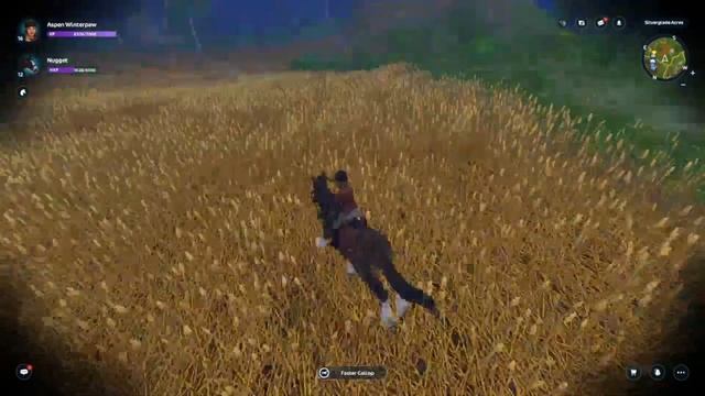 HALLOWEEN || The Witch's Gambit || Star Stable online CZ смотреть онлайн