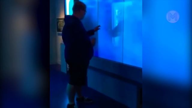 Это Было Последнее что Они Сняли на Свой Телефон смотреть онлайн