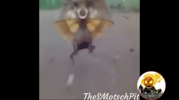 The final countdown (meme)