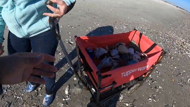 WE LOADED UP on sea treasures SHELLING the HIGH TIDE WRACK LINE on a SC barrier island beach смотреть онлайн