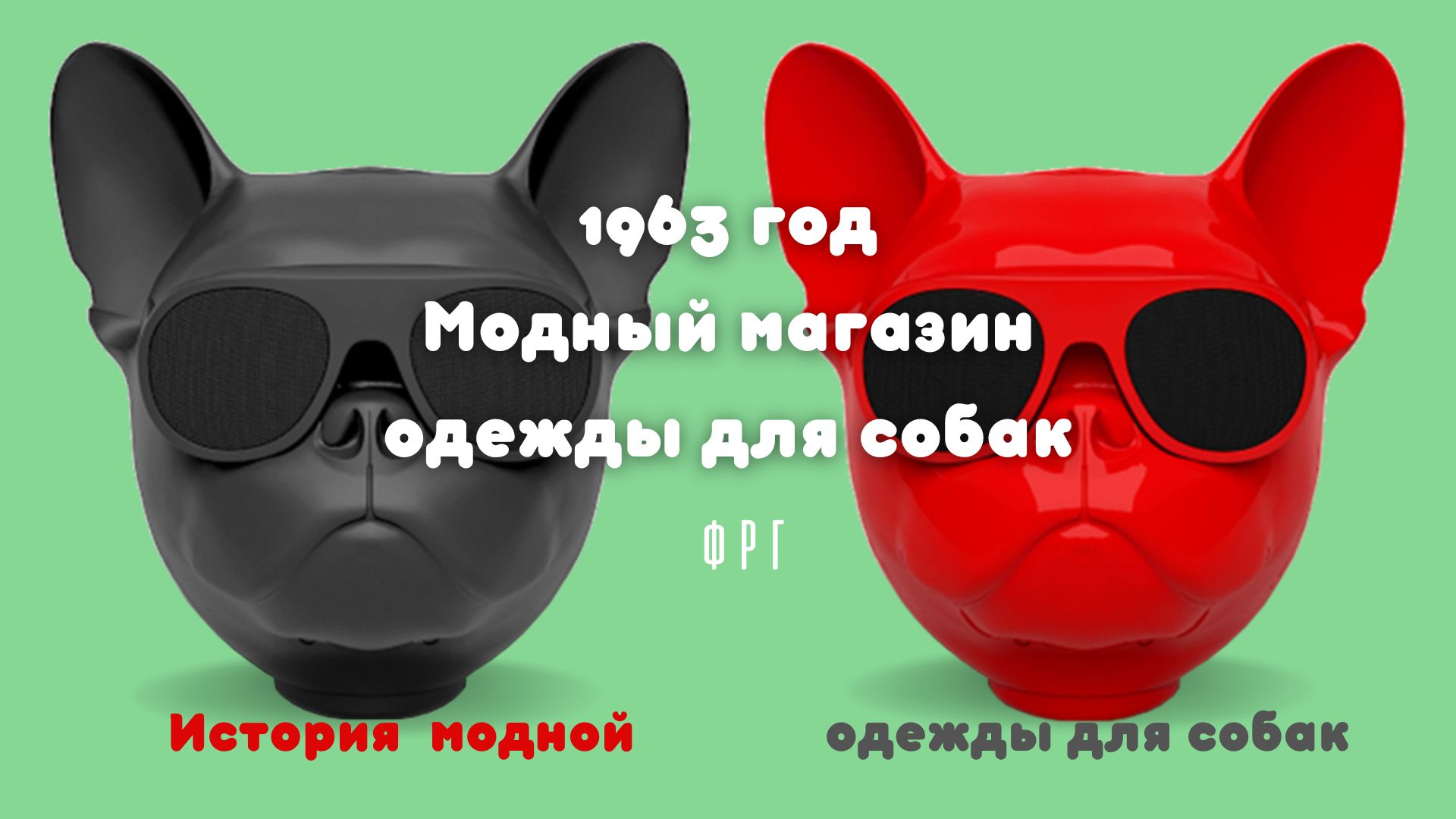 1963 Модный магазин одежды для собак. ФРГ