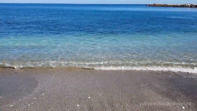 Морские помидоры. Морские ежи. смотреть онлайн