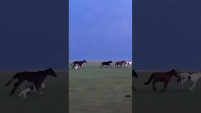 ?Дарю любую книгу по ссылке в шапке профиля смотреть онлайн