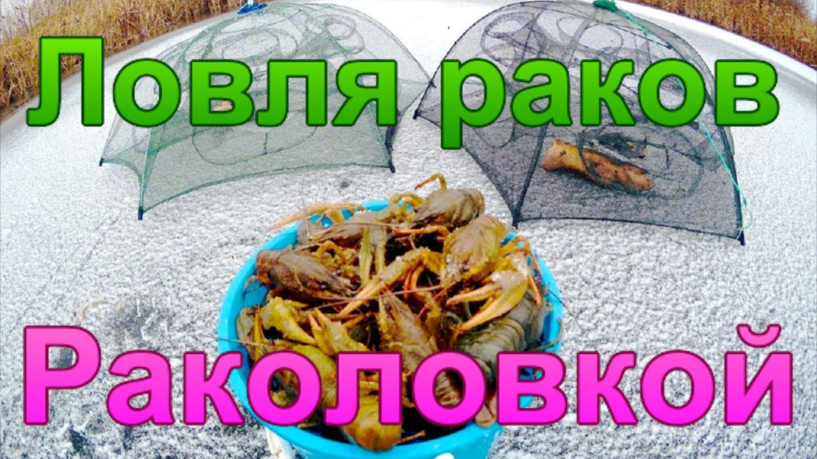 Ловля раков раколовкой. смотреть онлайн