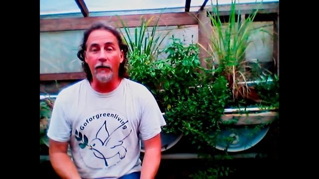 Aquaponic's Sustainability True or False смотреть онлайн