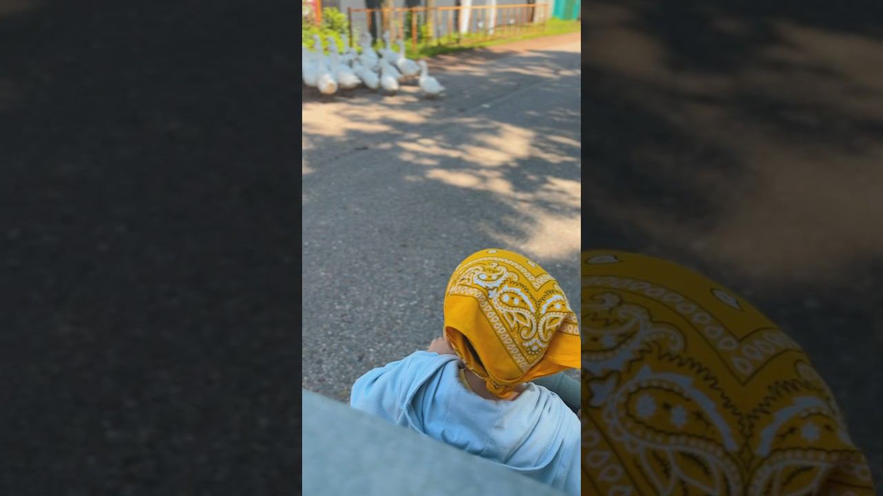 Гуляем по нашему селу #bashkortostan #башкирия#село#деревня#дети смотреть онлайн