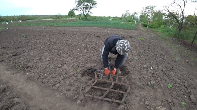 Нам подарили рассаду! Уже выкапываем картошку! Жизнь в деревне кипит! смотреть онлайн